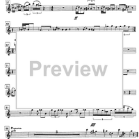 The troubled midnight - Flute