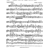 Jeanie with the Light Brown Hair