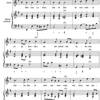 Mein Lebens letzte Zeit