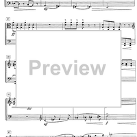 Impromptu No.17 Op.79