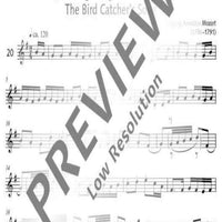 The Bird Catcher's Song