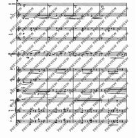 Il Vitalino raddoppiato - Full Score