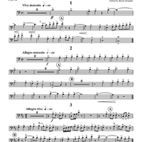 Musica Festiva - Bassoon 2
