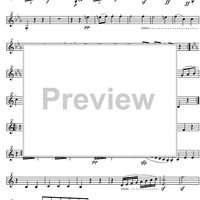 String Quintet c minor Op.104 - Violin 2