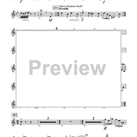 Harry Potter Symphonic Suite - Mallet Percussion