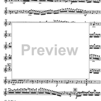 Moto perpetuo Op.11 - Violin 1