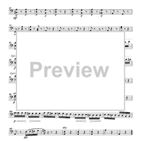 The Flight of the Bumblebee from the opera "Tsar Sultan" - Cello