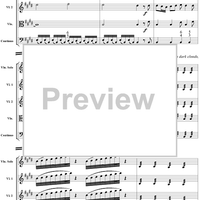The Four Seasons: Spring, Movement 1 - Score