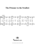 The Prisoner to the Swallow