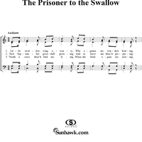 The Prisoner to the Swallow