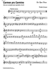 Carmen pro carmine - aria con variazioni - Violin 2