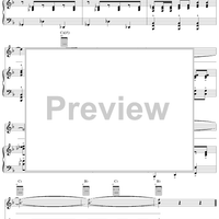 The Shady Dame from Seville