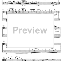 Impromptu No.17 Op.79