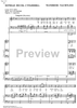 Wandrers Nachtlied II Op.96 No.3