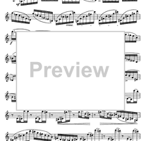 The Accomplished Clarinettist Vol. 2 - Clarinet