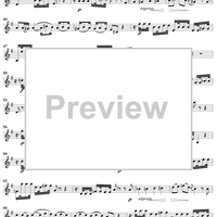 "Die Armut, so Gott auf sich nimmt", Duet, No. 5 from Cantata No. 91: "Gelobet seist du, Jesu Christ" - Violin