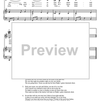 Paddy's Green Shamrock Shore