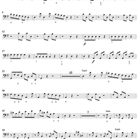 Flute Concerto in G Major, Op. 10, No. 6 - Cello