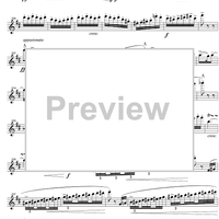 Andante and Scherzo - Flute