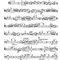 Contrabbasso concertante - Double Bass