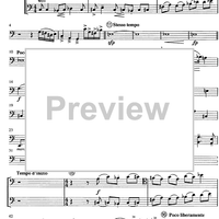 Am Wege zum Licht - Double Bass