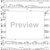 Wind Quintet in C Major, Op. 79 - Flute