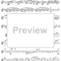 Sonata ("Undine"), op. 167 - Flute