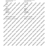 Il Vitalino raddoppiato - Full Score