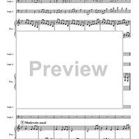 Indian Point Rhapsody - Piano Score