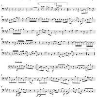 Introduzzione à Tre - Cello/Bass