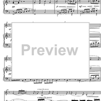 Sonata in D minor - Score