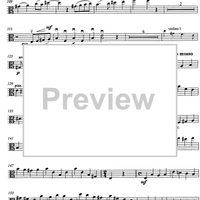 Carmen pro carmine - aria con variazioni - Viola