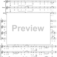 Requiem in D Minor, No. 9: Requiem