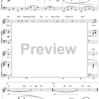 Where Did the Night Go