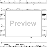 Flute Concerto in G Major - Piano Score