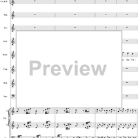 La Finta Giardiniera, Act 1, No. 12 "Himmel welch' selt'ner Zufall" (Finale, Septet) - Full Score