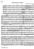 Divertimento Eb Major KV289 - Score
