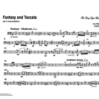 Fantasy and Toccata - Marimbaphone 4