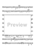 The Bugle Call Rag - Tuba