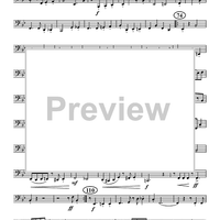 The Bugle Call Rag - Tuba