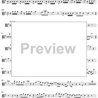 Flute Concerto in G Major, Op. 10, No. 4 - Viola