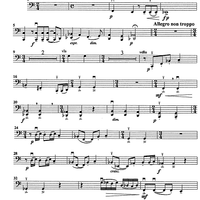 Godalni Quartet - Cello