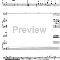 Suite andaluza - Score