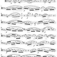 Concert Study No. 20