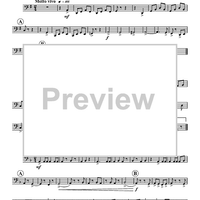 Musica Festiva - Tuba 2