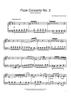 Flute Concerto No. 2 (Second Movement)