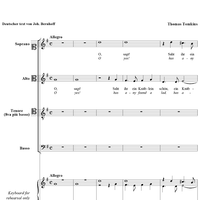 O Yes, Has Any Found a Lad