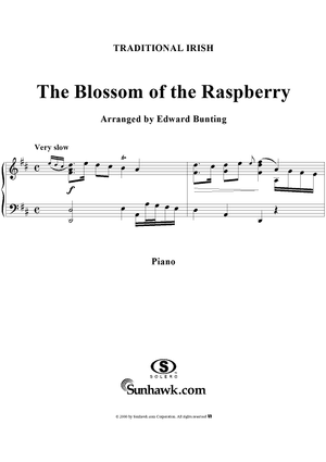 The Blossom of the Raspberry
