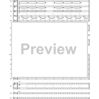 Brazilian Spice - Score