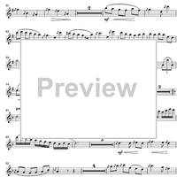 Argentinian Rhapsody - Flute